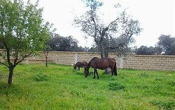 Masseria Grande Gospodarstwo wiejskie