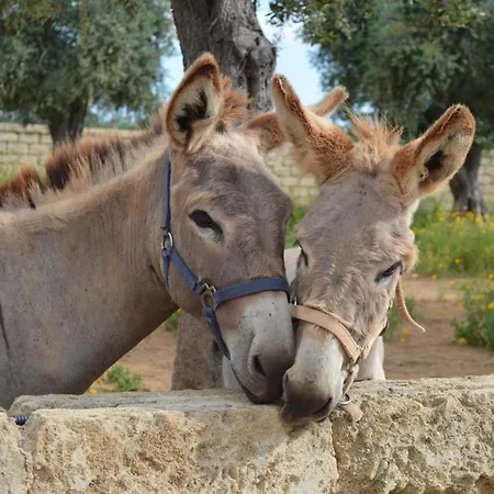 Masseria Grande Gospodarstwo wiejskie *